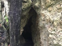 -鹅銮鼻公园