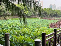 -南宁南湖公园