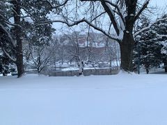 -北海道厅旧本厅舍(旧本庁舎)