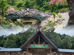 -南丹山森林王国