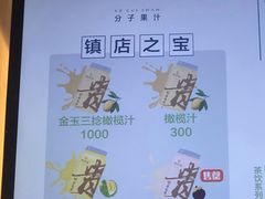 -野萃山·潮汕厚果汁(十亩地店)