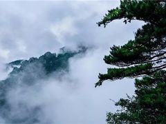 -牛背梁国家森林公园