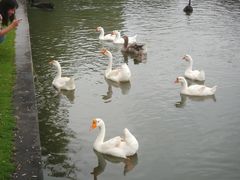 -杭州师范大学(下沙校区)