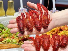 -舞虾小说.涮肉.烧烤(国顺东路店)