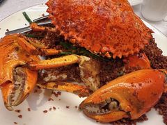 -喜记避风塘炒辣蟹(旗舰店)