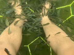 -海兰云天度假区温泉