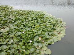 -门城湖公园