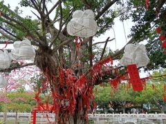 -南沙天后宫景区