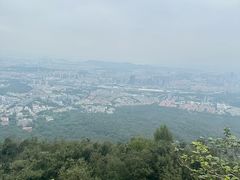 -金原鸭血粉丝汤总店(锁金村店)