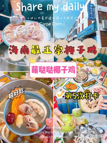 三亚美食|三亚正宗椰子鸡,鸡汤好喝到哭