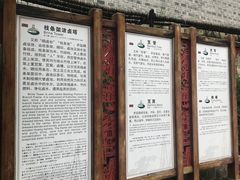 -燊海井