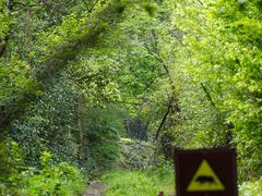 -敬亭山风景名胜区