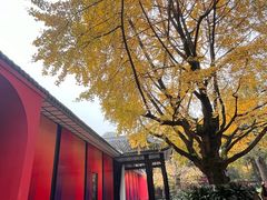 -成都武侯祠博物馆