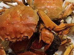 -禾斗海鲜自助(市南银座店)