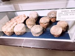 -游龙石文化科普馆