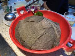 -二荆条·蜀鲜汇城市森林火锅