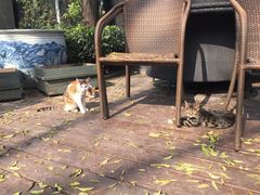 -有才叔的小馆(招商依云曲江店)