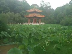 -富乐山