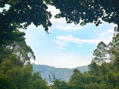 -火炉山森林公园