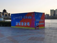 -莲花池公园