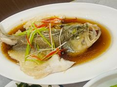 -台北楚楚园馅饼粥(虹桥南丰城店)