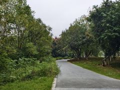 -盘龙城国家考古遗址公园