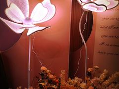 -怪咖·joker陈楠