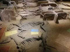 -洛阳周王城天子驾六博物馆