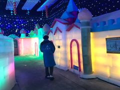 -武汉紫薇都市田园