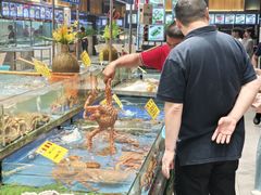 -尖沙咀大酒楼(罗村店·粤菜海鲜·宴会聚餐)