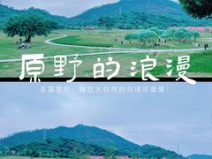 -风云岭森林公园