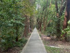 -同里国家湿地公园