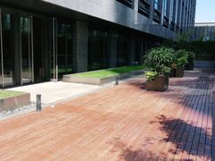 -西安高新洲际酒店•彩丰楼中餐厅