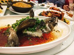 清蒸老虎斑-金满楼(天河中路店)
