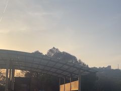 -上海佘山国家森林公园东门地面停车场