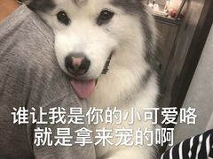 -火齐潮汕砂锅粥(五道口店)
