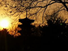 -北京世界公园