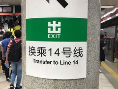 -大望路(地铁站)