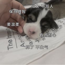 -酷嗒动物文化乐园(cutezoo西溪乐天城店)