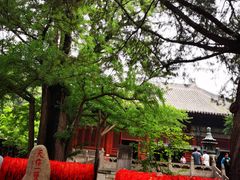 -红螺寺