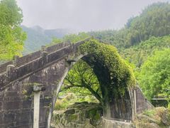 -鹿亭中村