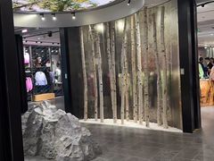 -ARC'TERYX始祖鸟(北京王府中环店)