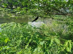 -白河湾生态旅游一条川