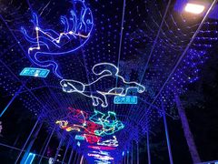 -南宫五洲植物乐园