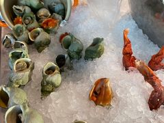 -锦厨国际自助餐厅 · 云端景观 (昆明索菲特大酒店)