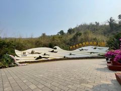 -西双版纳原始森林公园