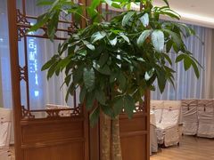 -松鹤楼(狮山永利广场店)