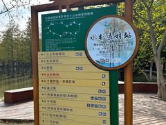 -泗洪洪泽湖湿地景区