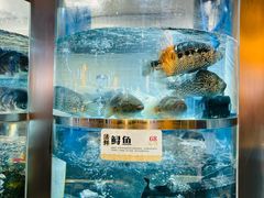 -老船舫·现做活鲜鱼馆(东郊记忆店)