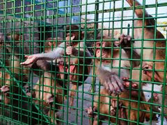 -南京金牛湖风景区